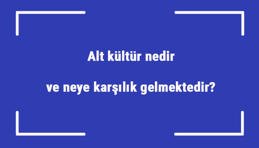 Alt kültür nedir ve neye karşılık gelmektedir Alt kültür örnekleri ve özellikleri