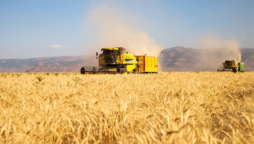 Buğday rekoltesi 20 milyon ton