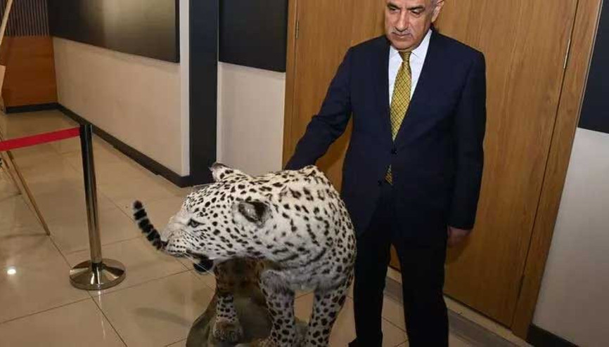 Bakan Kirişçi: Ülkemizde en son 1974 yılında görülen Anadolu Leoparını tekrar görüyoruz
