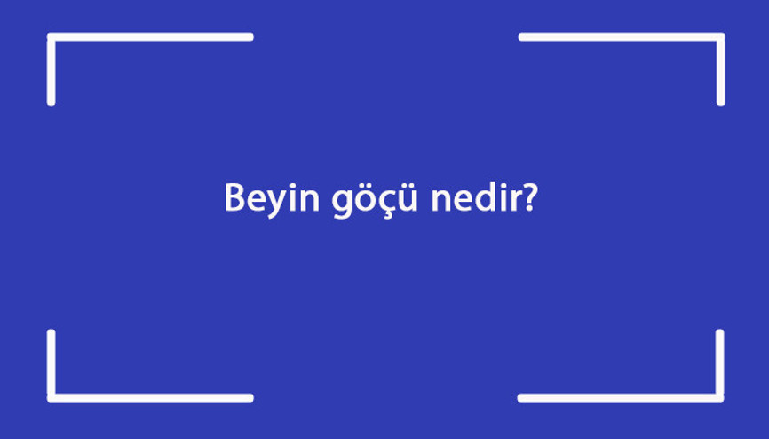 Beyin göçü nedir Sebepleri nelerdir Beyin göçünün ülkeler üzerinde etkileri
