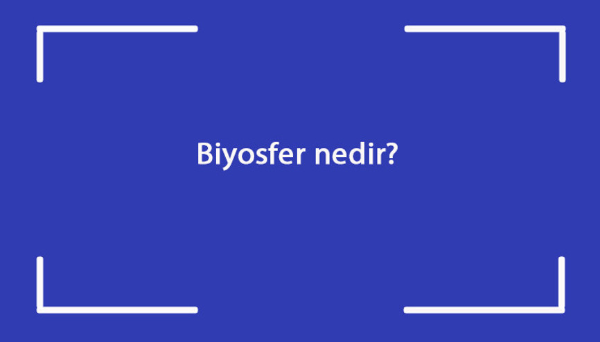 Biyosfer nedir Nelerden oluşur Coğrafyada biyosfer canlı küre ne demektir