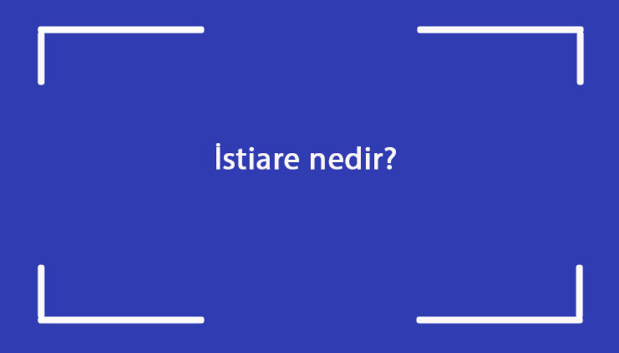 İstiare nedir Edebiyatta söz sanatı istiare (eğreltileme) özellikleri nelerdir