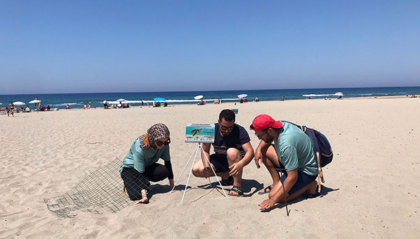 Dünyaca ünlü sahillerde caretta caretta yasağı... Saat 20:00den sonra giriş yasak