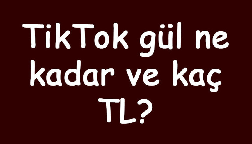 TikTok gül ne kadar ve kaç TL TikTokda gül hediyesi nasıl verilir ve kaç para kazandırır