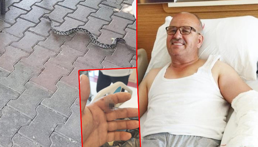 Bursa’da elini yılan ısırdı Yılanı poşete koyarak hastaneye koştu