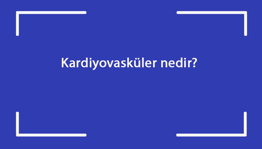 Kardiyovasküler nedir Belirtileri nelerdir Hastalığın tanısı ve tedavi yöntemleri