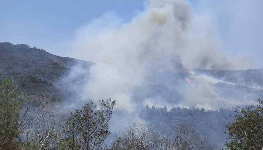 KKTCde arazide başlayan yangın ormana sıçradı