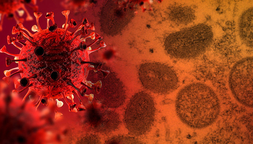 Maymun Çiçeğinde yeni tehlike: Evcil hayvanlarınızla temastan kaçının, hayvanlara yayılabilir