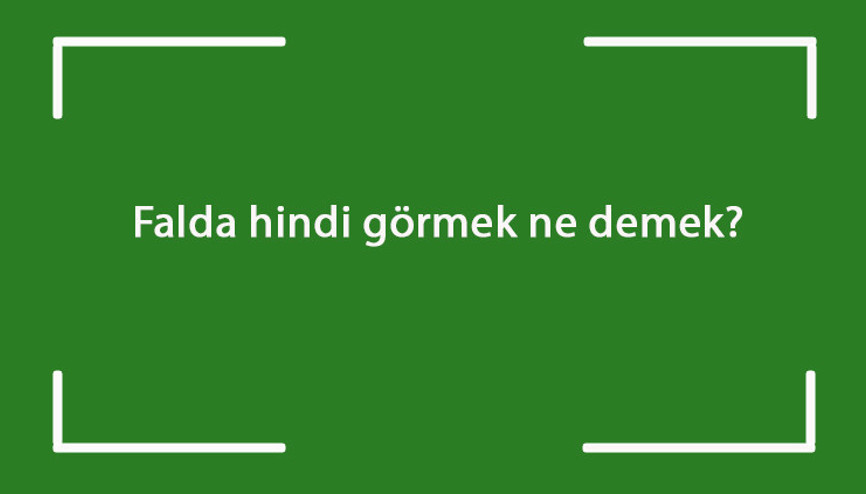 Falda hindi görmek ne demek Kahve falında hindi kafası çıkması anlamı nedir Falda hindi görmek ne demek Kahve falında hindi kafası çıkması anlamı nedir