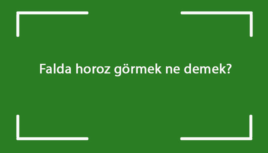Falda horoz görmek ne demek Kahve falında horoz kafası ve ibiği çıkması anlamı nedir