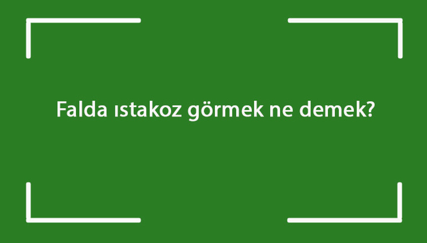 Falda ıstakoz görmek ne demek Kahve falında ıstakoz çıkması anlamı nedir Falda ıstakoz görmek ne demek Kahve falında ıstakoz çıkması anlamı nedir