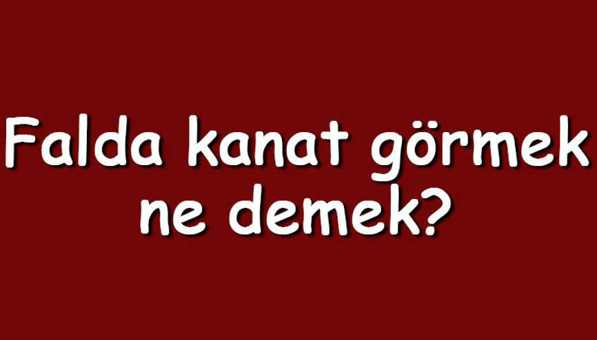 Falda kanat görmek ne demek Kahve falında kanat çıkması anlamı nedir