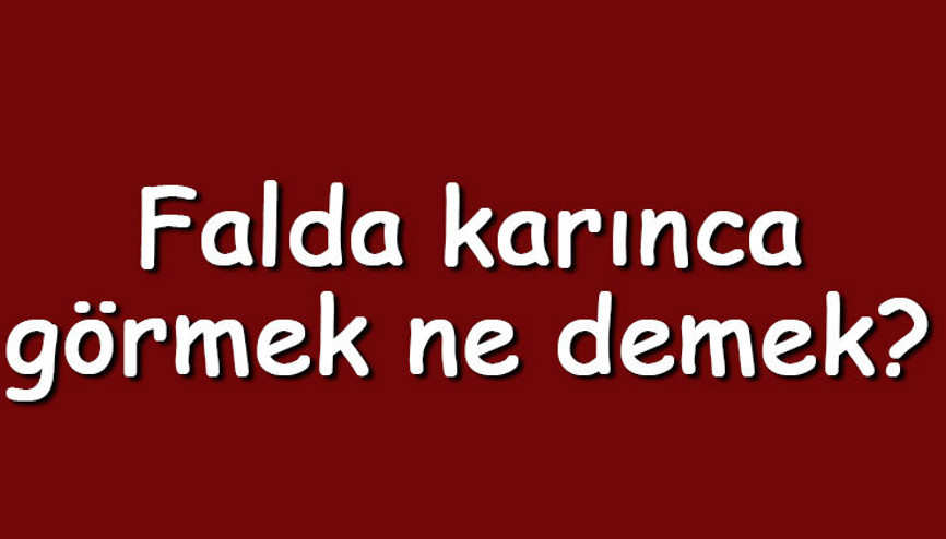 Falda karınca görmek ne demek Kahve falında kanatlı, kraliçe ve büyük karınca çıkması anlamı