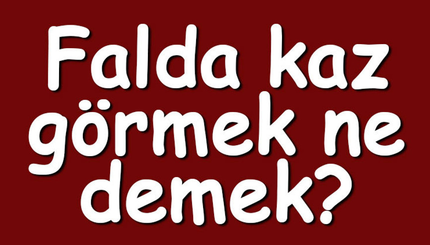 Falda kaz görmek ne demek Kahve falında kaz kafası ve ayağı çıkması anlamı Falda kaz görmek ne demek Kahve falında kaz kafası ve ayağı çıkması anlamı