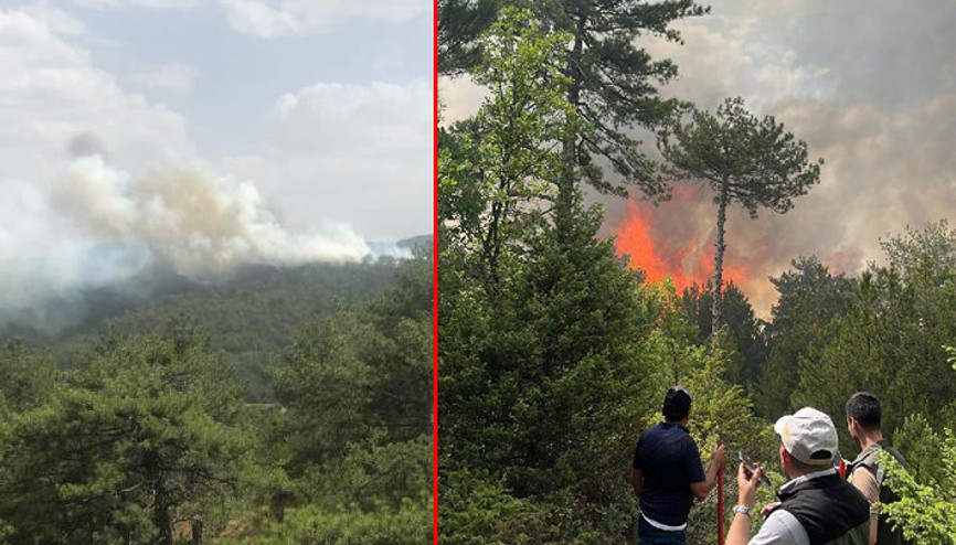 Bolu’da orman yangını Çok sayıda ekip sevk edildi