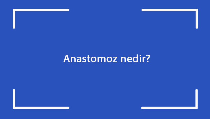 Anastomoz nedir Belirtileri nelerdir Anastomoz hastalığının tanısı ve tedavi yöntemleri