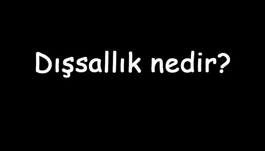 Dışsallık nedir Çeşitleri nelerdir İktisatta dışsallık örnekleri
