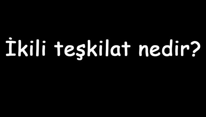 İkili teşkilat nedir Ne işe yarar İkili teşkilat sisteminin amacı nedir