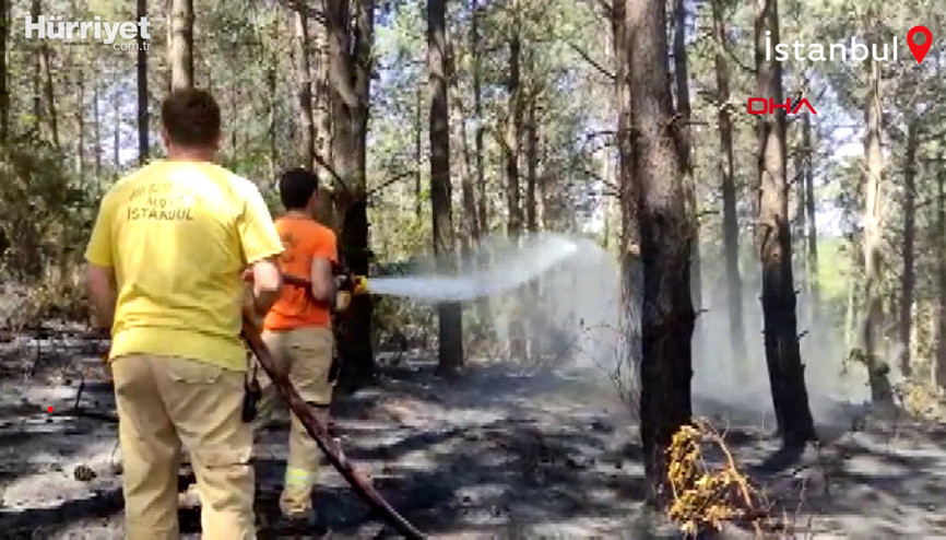 Eyüpsultan Göktürkte ormanda yangın çıktı