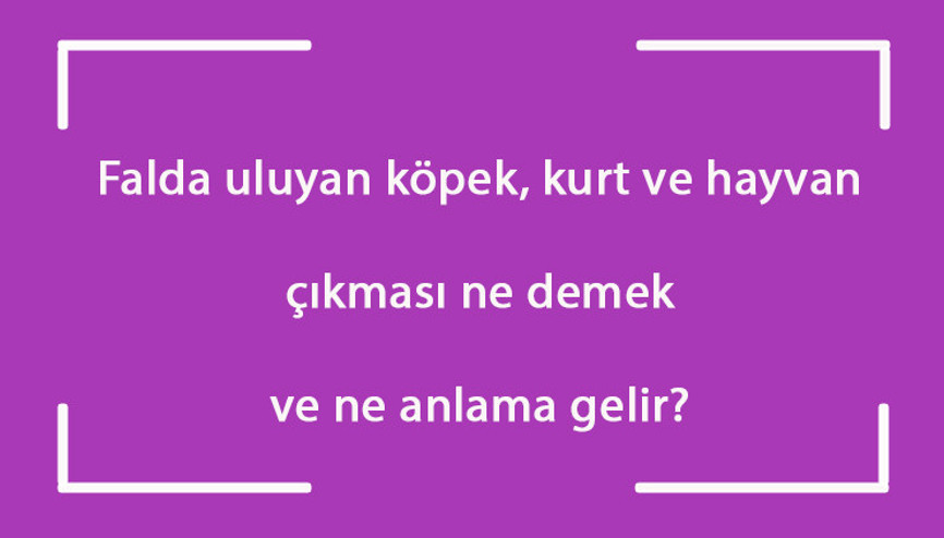 Falda uluyan köpek, kurt ve hayvan çıkması ne demek ve ne anlama gelir
