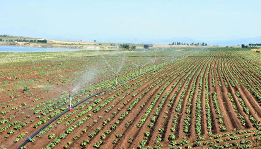 Çiftçilere müjde: Modern Basınçlı Sulama Tesisleri Projelerine 300 milyon TL hibe