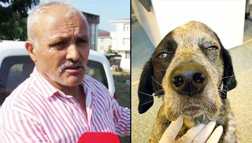Duman’ı döverek öldürmüştü: Cezasız kalmadı