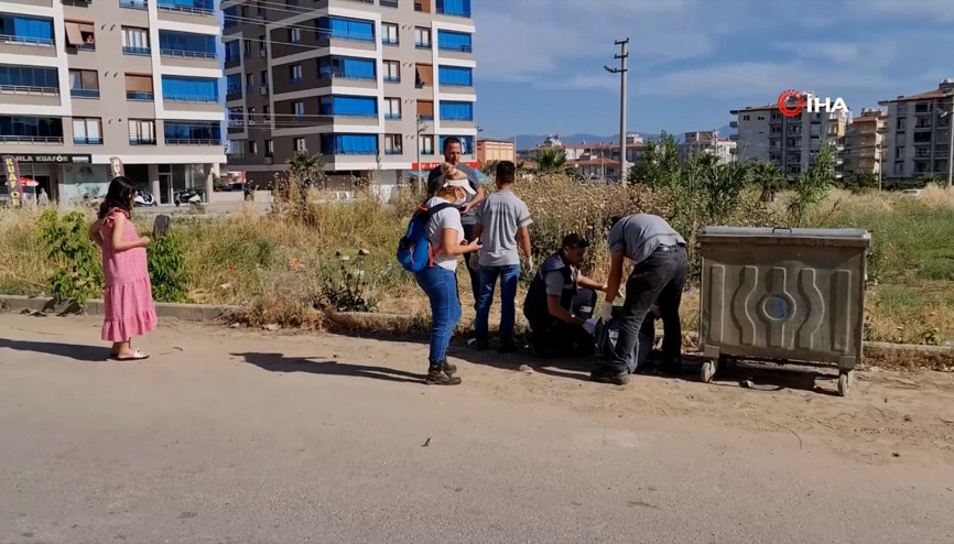 İzmirde zehirlenen kedi ve köpekler telef oldu