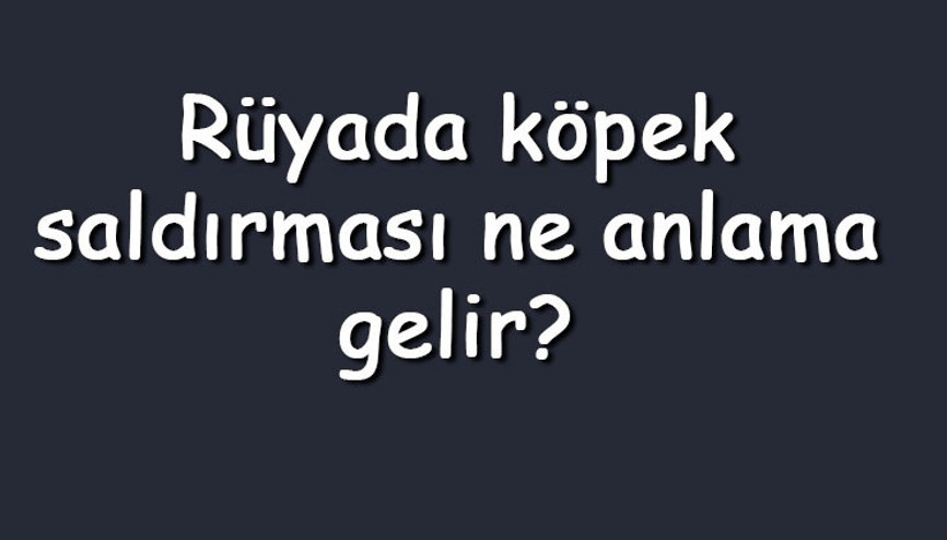 Rüyada köpek saldırması ne anlama gelir Rüyada siyah, beyaz, kahverengi bir köpeğin arkadaşına ve kardeşine saldırması