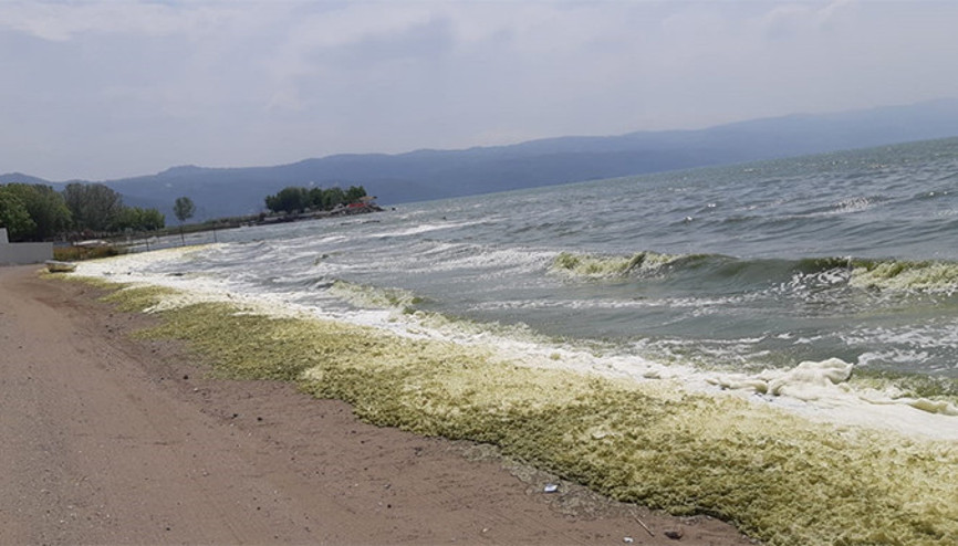 İznik Gölü alg patlaması nedeniyle yeşile büründü