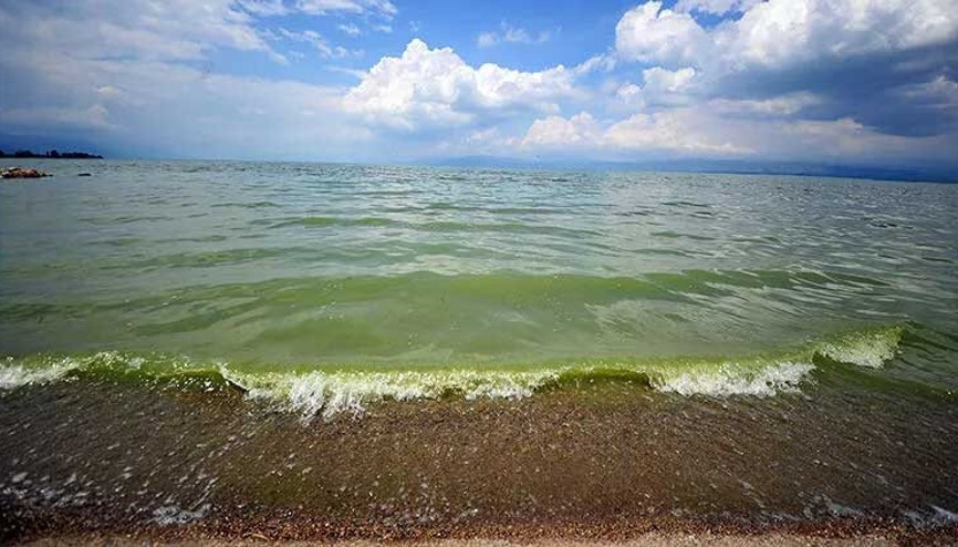 İznik Gölü, alg patlaması nedeniyle yeşile büründü İznik Gölü, alg patlaması nedeniyle yeşile büründü