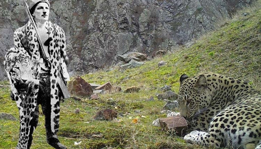 Gladyatörlerden, Milaslı Hasana... Anadolu Parsı hepsine rağmen yaşıyor Gladyatörlerden, Milaslı Hasana... Anadolu Parsı hepsine rağmen yaşıyor