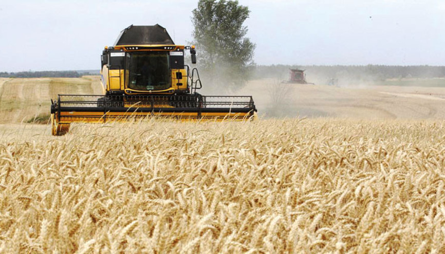 BM raporu: Dünya gıda felaketinin eşiğinde