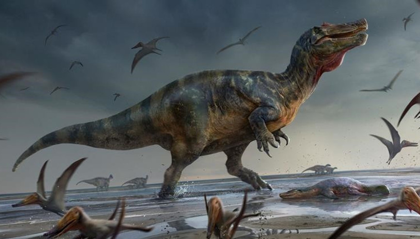 Avrupada büyük keşif: En büyük etçil dinozoruna ait iskelet parçaları bulundu