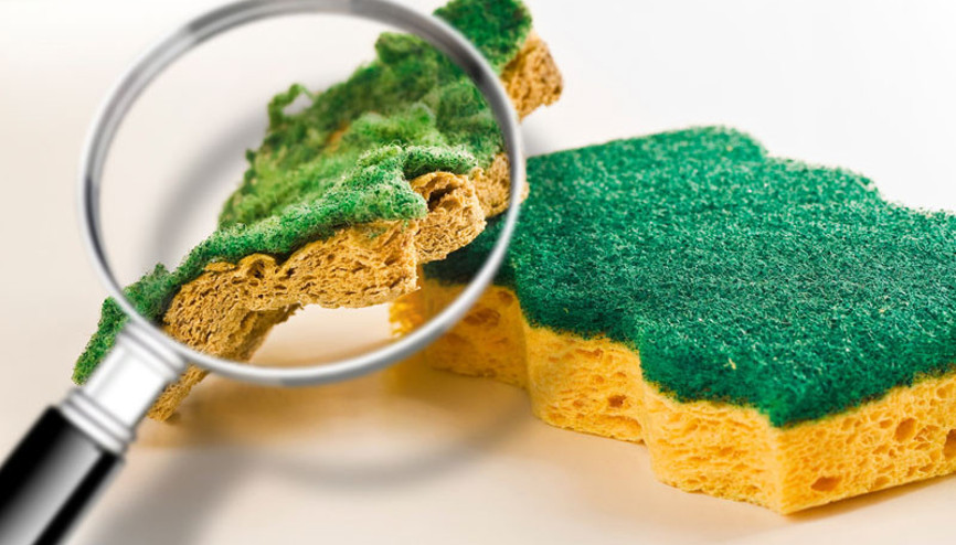 Bulaşık süngerine dikkat Tuvaletten 200 bin kat daha kirli... Bulaşık süngerine dikkat Tuvaletten 200 bin kat daha kirli...