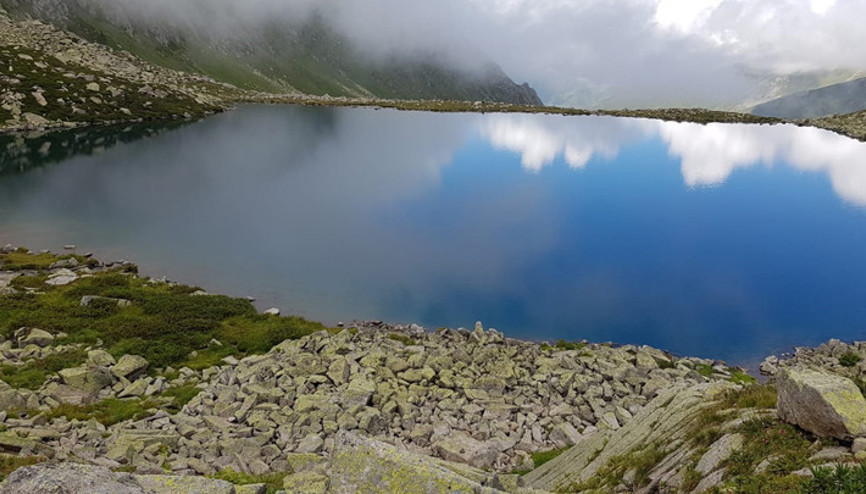 Kaçkarlarda 48 alg türü tespit edildi