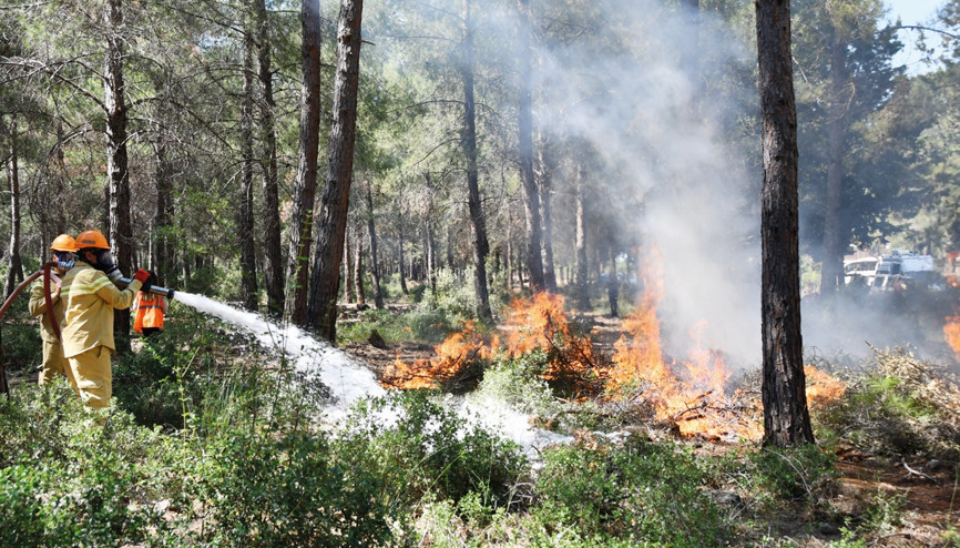 Alevlere karşı gönüllü ordusu