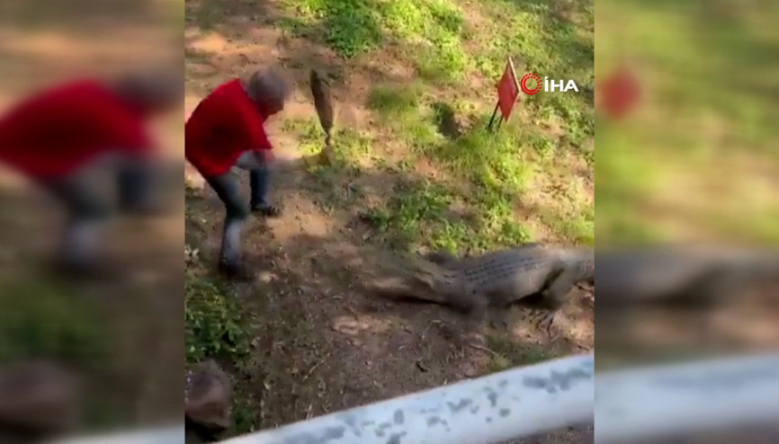 Bahçesine giren timsahı tavayla kovaladı