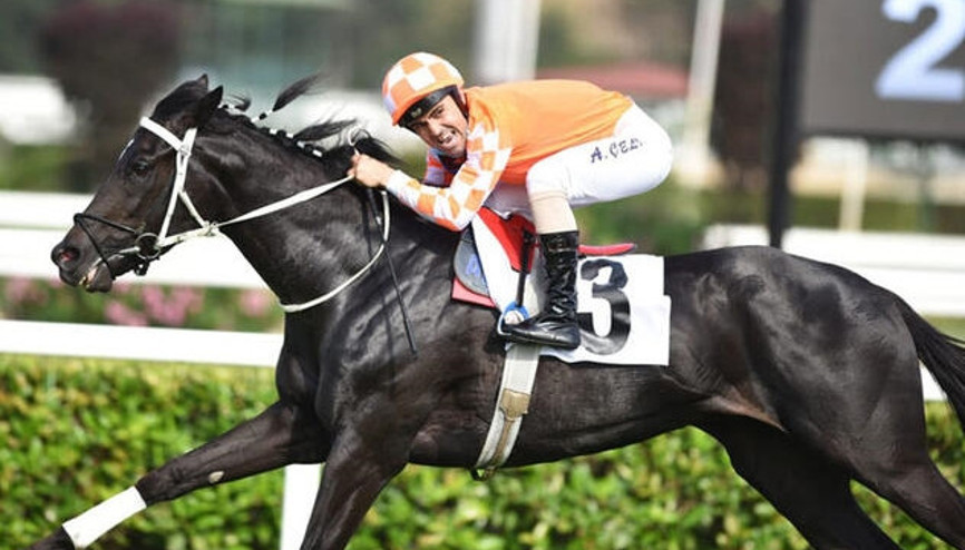 Ahmet Çelikin hedefi Gazi Koşusunu üst üste 8. kez kazanmak