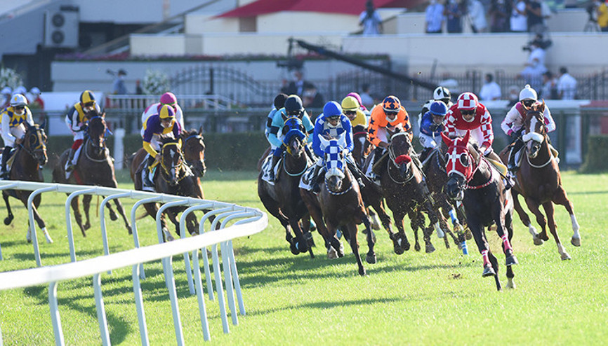 Veliefendi Hipodromu’nda 96. Gazi Koşusu heyecanı yaşanacak
