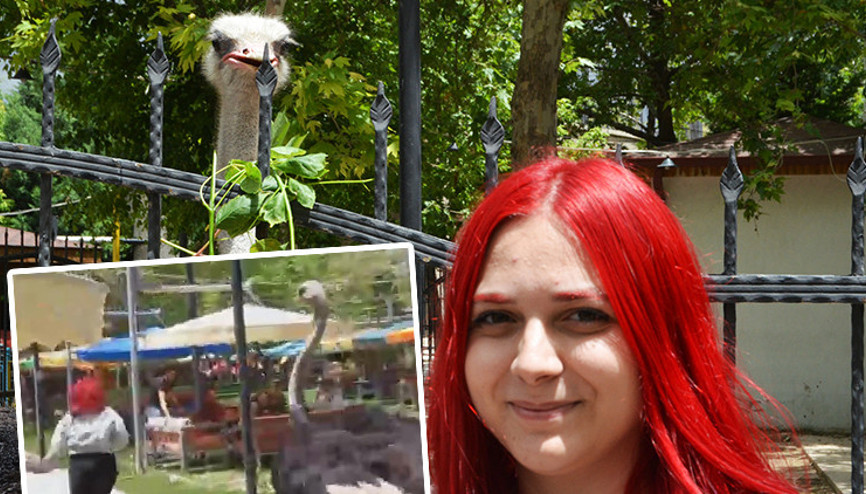 Deve kuşunun kovaladığı Kardelen yaşadıklarını anlattı