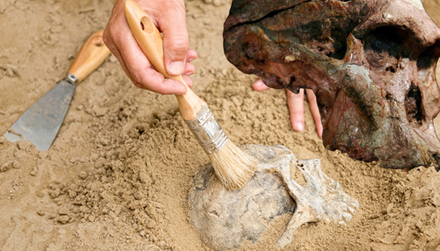 İnsanlık tarihini değiştirebilecek keşif: En eski atalarımız düşündüğümüzden 1 milyon yıl daha yaşlı İnsanlık tarihini değiştirebilecek keşif: En eski atalarımız düşündüğümüzden 1 milyon yıl daha yaşlı