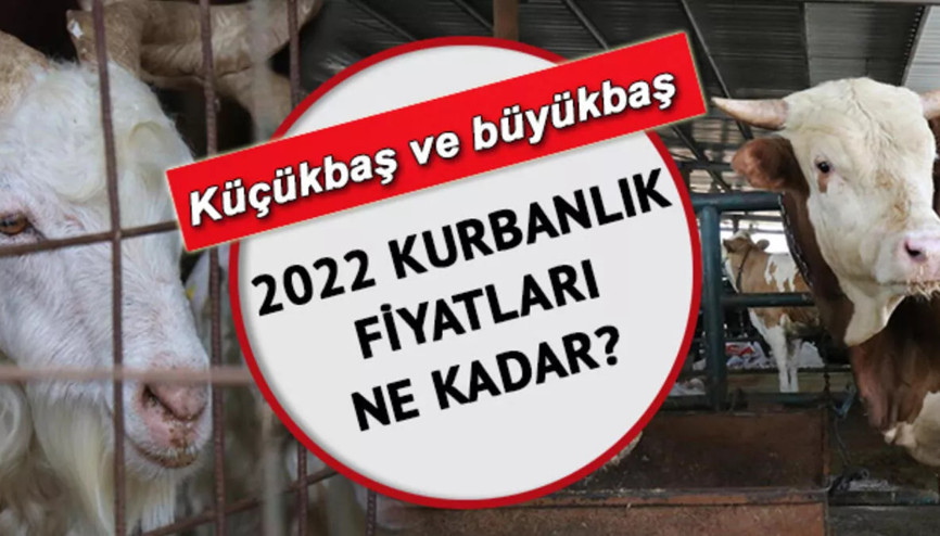 Küçükbaş ve büyükbaş kurbanlık fiyatları ne kadar İşte 2022 kurbanlık fiyatlarında son durum