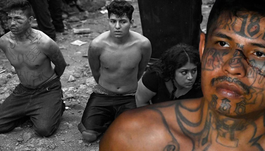 Çete üyelerine diz çöktürüp poz verdiler Bunun bedelini ödeyeceksiniz Çete üyelerine diz çöktürüp poz verdiler Bunun bedelini ödeyeceksiniz