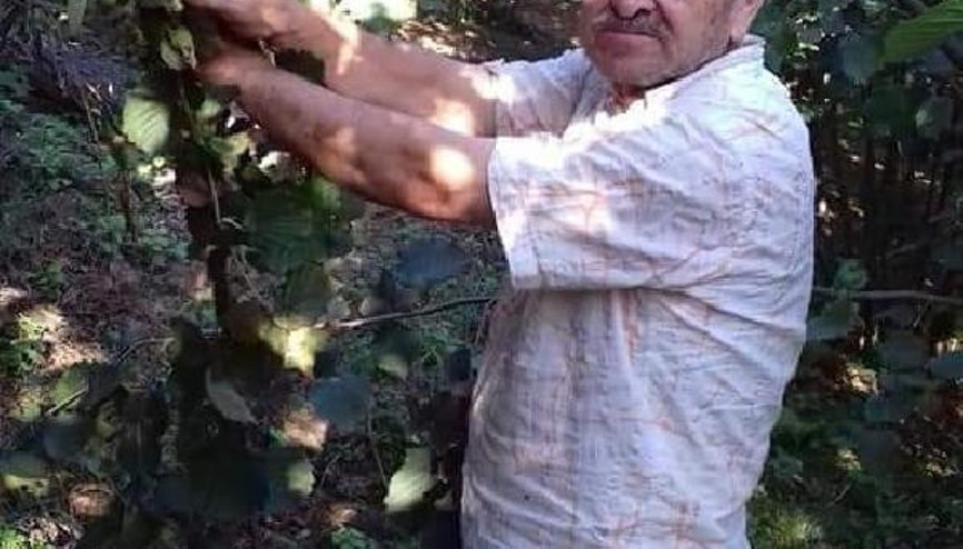 Orduda ağaçtan düşen kişi hayatını kaybetti