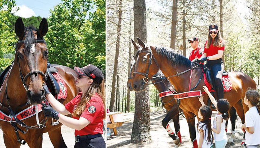 Ormanda atlı devriye