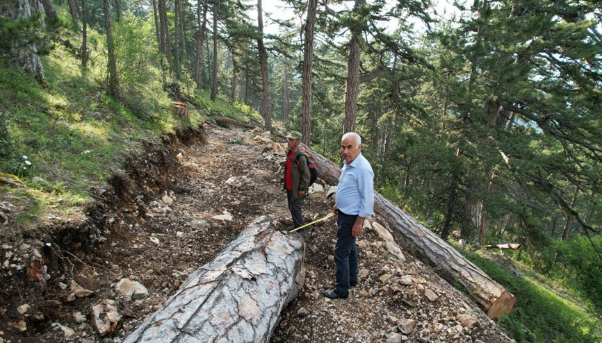 Bu manzara karşısında üzüntümüzden kahrolduk