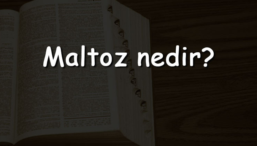 Maltoz nedir Neyden oluşur ve nerede üretilir Bitkilerde maltoz bulunur mu