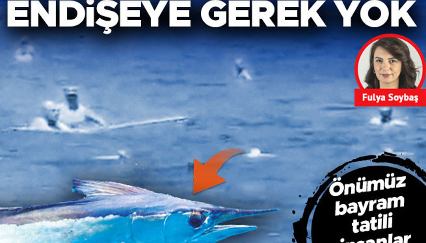 Köpekbalığı zannettiler zargana çıktı