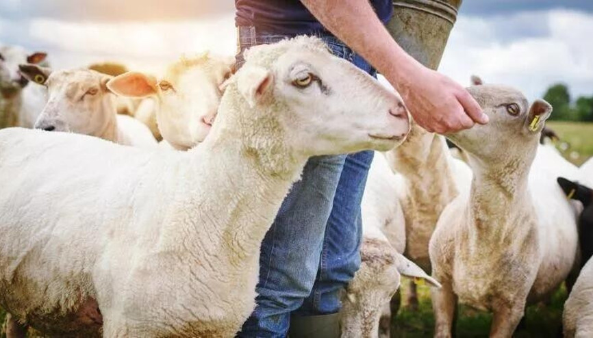 Kurban Bayramı arefe günü ne zaman İşte 2022 Kurban Bayramı arefe tarihi