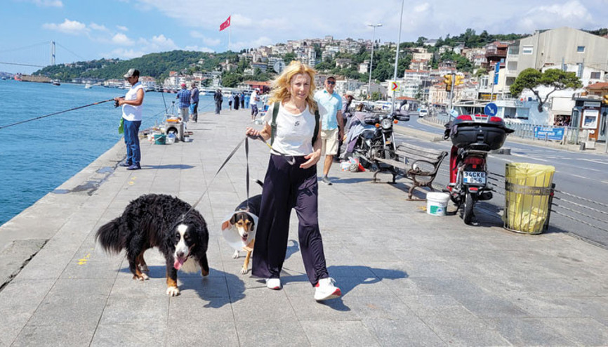 Sağanak bitti, İstanbullu sokağa aktı